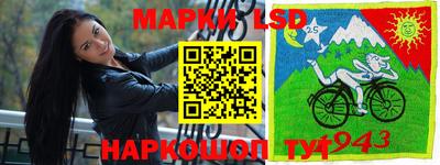гашик Лесосибирск